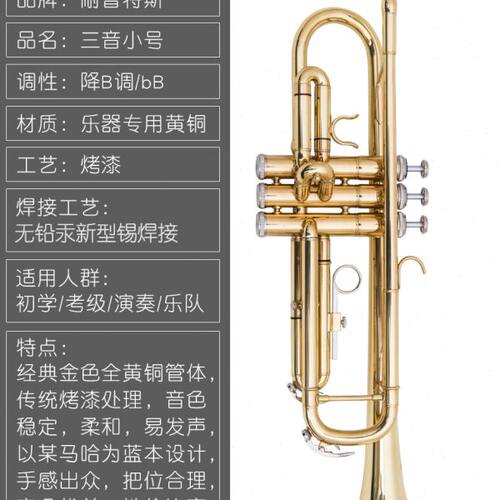 小号 乐器 降B调三音小号 初学演奏考级专业乐队教学教会西洋乐器
