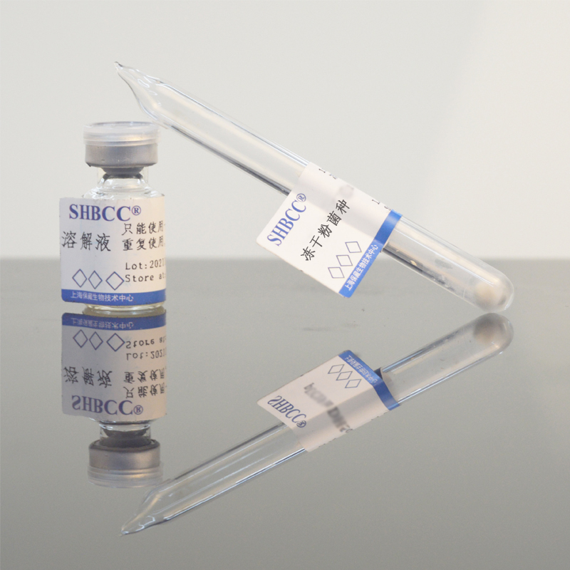 巴氏芽孢杆菌ATCC11859产脲酶DSM 33尿素CASO液体培养基30度活化