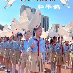运动会入场创意道具手持物气球和平鸽开幕式氛围道具铝膜手拿白鸽