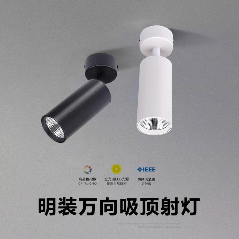 明装小山丘射灯可调角度7W15W吸顶式洗墙照画全光谱客厅高显高亮