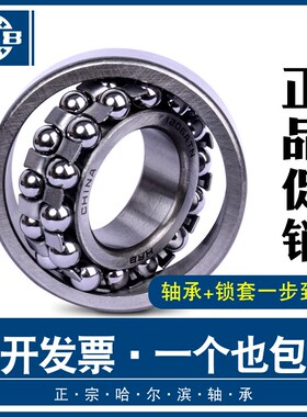 YHRB哈尔滨调心球轴承1300 1301 1302 1303 1304 1305 1306 1307K