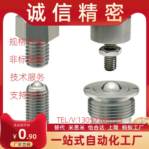 钢珠滚轮 BCHL BCHN BCSB BCHPT5 6 8 10 12 16 19 20 24 25 31
