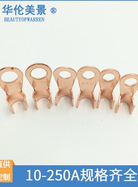 紫铜接线端子10A 20A 30A 40A 50A 60A 100A线鼻子开口鼻通鼻子