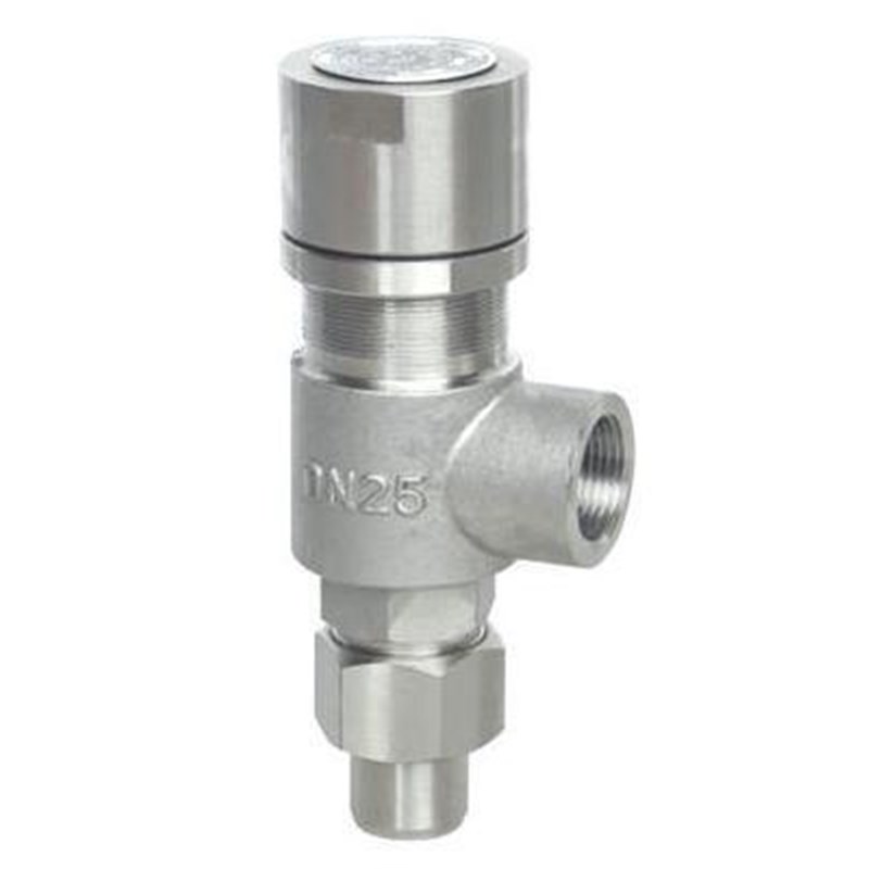 A21W F Y-16P/25P 304不锈钢弹簧微启式安全阀 A21H-16C/40C DN15