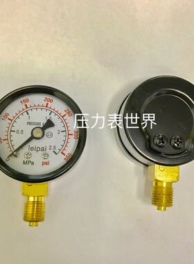压力表 Y-40 0-2.5mpa 350psi 直径40mm 螺纹M10x1 径向 25bar kg