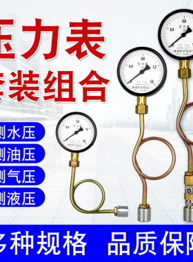 压力表套装Y100水压表气压表带缓冲管底座阀门4分管道工业用