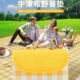 春游户外野餐垫用品沙滩帐篷垫子抖音网红防潮垫郊游便携野餐布