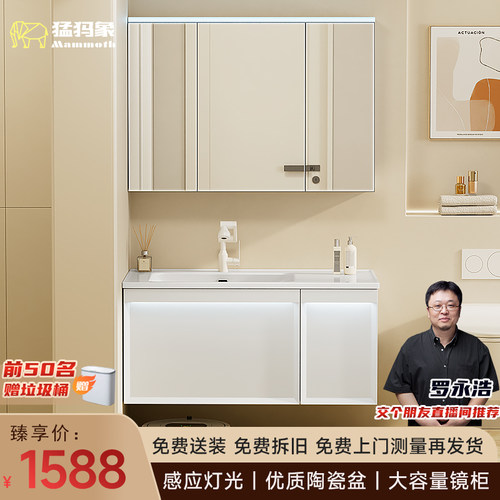 猛犸象智能实木浴室柜组合一体陶瓷盆洗手盆洗脸盆洗漱池卫浴柜L2