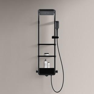 德国品牌德希顿DXD6035恒温淋浴花洒套装 十大白色家用置物淋浴屏