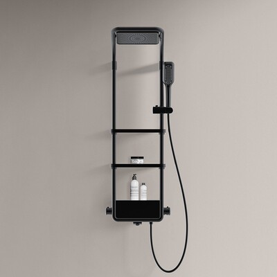 德国品牌德希顿DXD6035恒温淋浴花洒套装十大白色家用置物淋浴屏