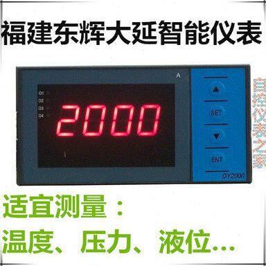 东辉仪表DY2000 DY29Z6P DY29Z0P DY21Z0P DY29Z6D DY29Z2-Pt100