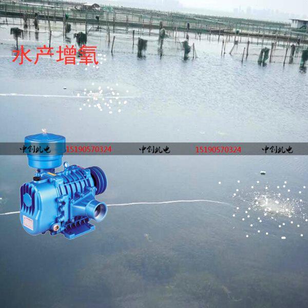 森森罗茨风机轴流风机大力泵鱼虾蟹塘增氧鱼塘机活鲜运输污水处理