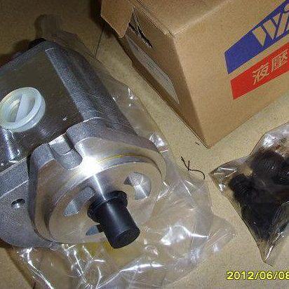 台湾WINMOST叶片泵VPVP-3030-F-A2-R P22-A1-F-R-01