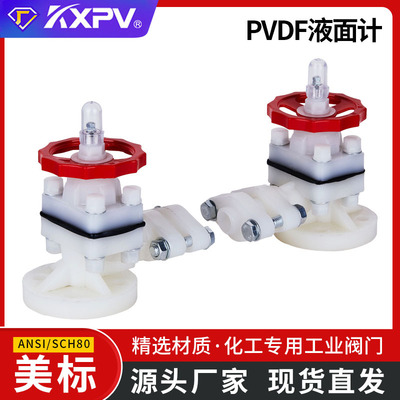 凯鑫KXPV厂家直销PVDF液位计 美标化工管件配件塑料液位计