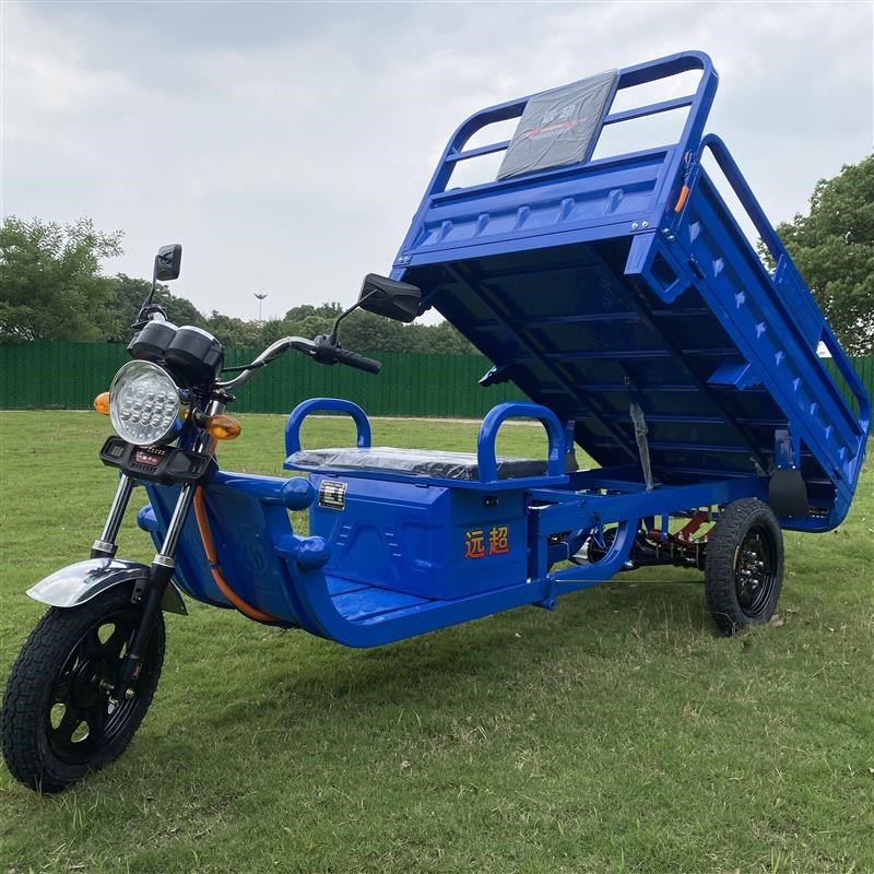 电动三轮车拉货载重王三轮电动电瓶车家用大型农用三轮车摆摊快递