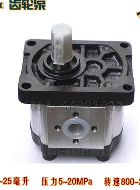 夹轨器油泵CBTt-F306F3P17 啸力 CBTt-F306F3P7 电动齿轮泵