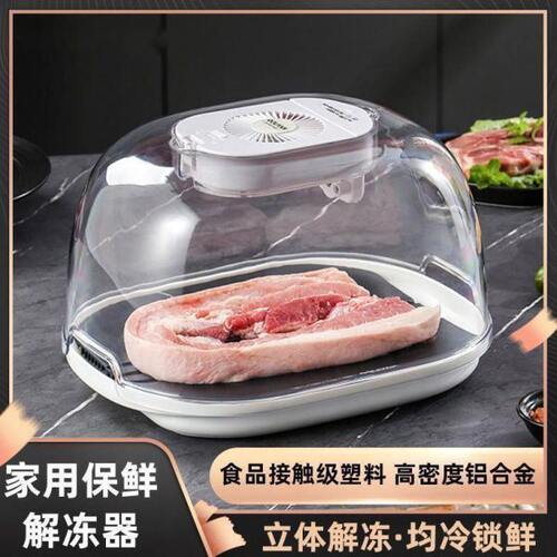 A保鲜解冻神器多功能厨房快速食物解冻器新款解冻机