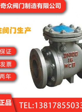 PH44H法兰排渣止回阀 软密封耐压化工防腐止回阀