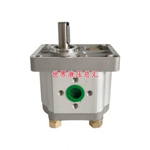 E306 E316 E308 E310 E312 E304 CBN E325 齿轮泵CBN E320