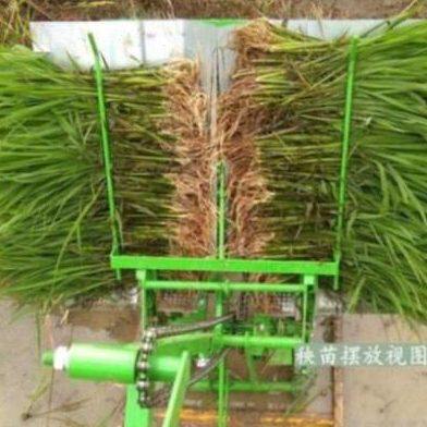 现货小型秒栽器水稻点插秧机夏季手动抛秧农用种器工具步退式手扶
