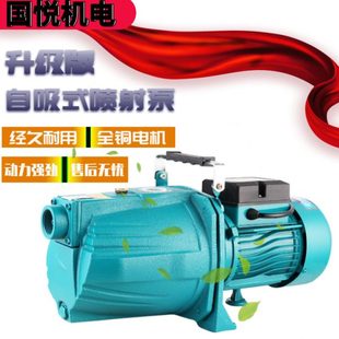 JET喷射泵大头抽水机水泵家用自来水自吸泵铜线家用铸铁小水泵