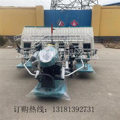 手扶步进式插秧机厂家2ZS-4G手推水稻种植机价格汽油水稻插苗机
