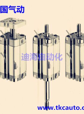 31F2A020A025全新进口气缸