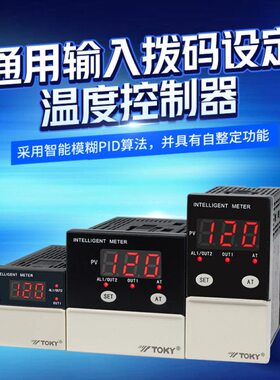 TM4-RB10B TM6-RB10B TM7-RB10B TM8-RB10东崎热销 拨码温控仪