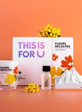 精油h u桌面摆件s ifor扩香石阿尔卑斯is氛t生日礼物盒无火香薰