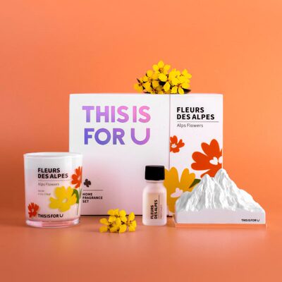 精油h u桌面摆件s ifor扩香石阿尔卑斯is氛t生日礼物盒无火香薰