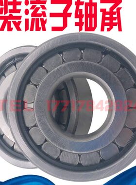 1054 SL19圆柱9列满22220轴承子装 76单  220滚8220 220220220