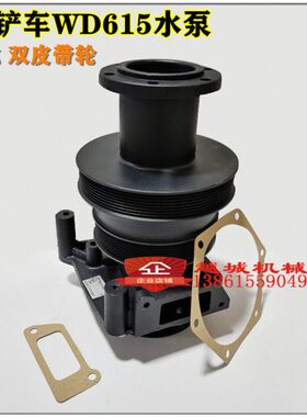 5维柴95装载机WD临工水泵徐工5H铲车发动机25061柳工厦工常林总成