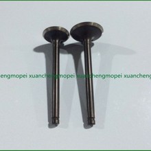 风速QJ110-6E/n18C/6H/18E/-10C进排气门 进气门排气门