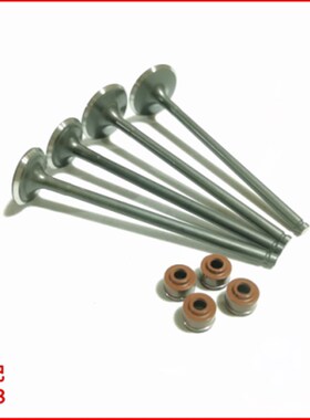 小黄龙BJ250-15A/15E进排气门18进气门TRKM251气门油封组件幼狮25