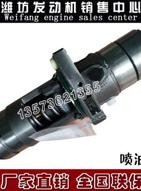 2503503CW8船用潍柴CW发动机6041柴油泵50泵82体 重庆单10柴油机