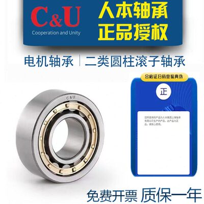 人本二类圆柱滚子轴承NJ214 215 216 217 218 219 2205 2206EM