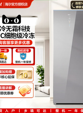 海尔210L立式冰柜小型家用冷柜冷冻风冷无霜一级能效抽屉式侧开门