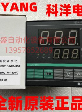 KEYANG科洋XW-D901温控仪表XW-D901B-N82JOSO 硫化机温度控制器原