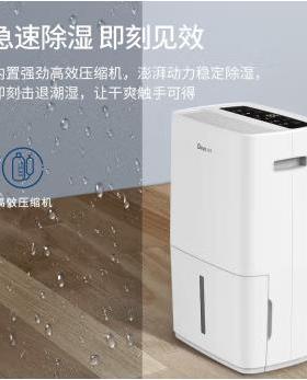 除湿机48升/天家用卧室地下室复式别墅商用工业DYD-L48A3