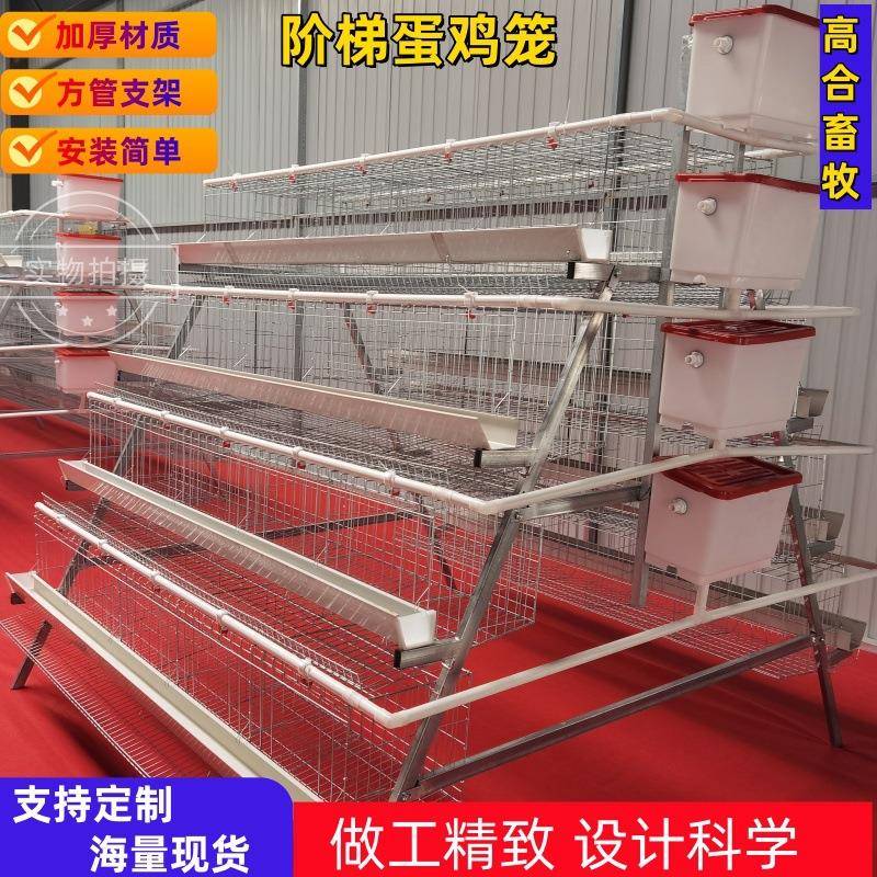 三层四层蛋鸡笼镀锌方管家用养殖场阶梯式鸡舍现货直发外贸