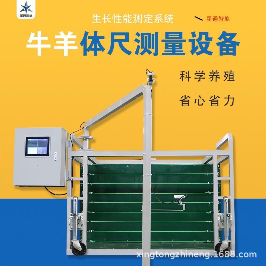 牛羊体尺自动测量设备高精度无接触AI智能模型育种育肥