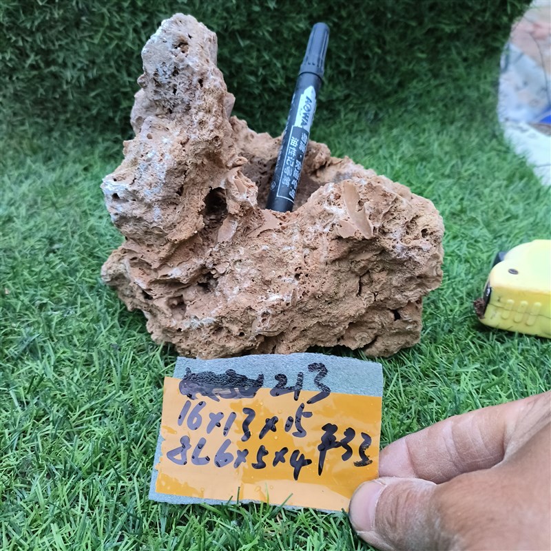 吸水石上水石小盆景o石头自吸水花盆菖蒲石斛蕨类文竹小植物创意