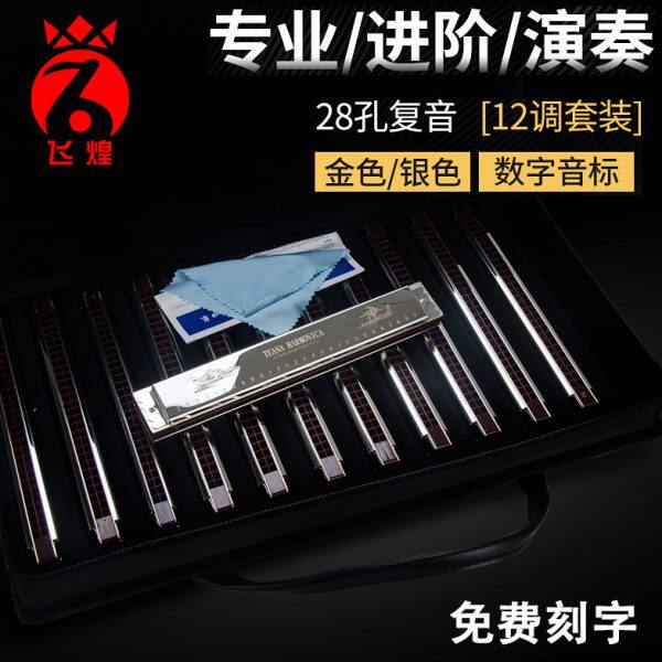 成人煌高级调专业调C调口琴音套装28演奏簧音孔12复级7飞德国进口