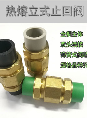 铜立式止回阀dppr止回阀4分6分1寸单向阀止逆阀ppr50 40立式止回