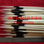 文玩收藏品大养殖罕见粗 豪 猪刺 鉴赏