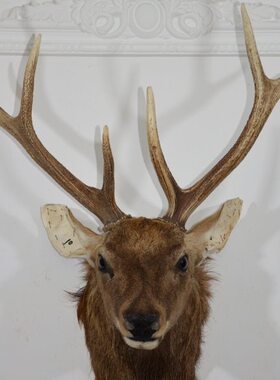 大号招财鹿头标本壁挂壁饰10美式乡村装饰品摆件生财有鹿动物墙饰