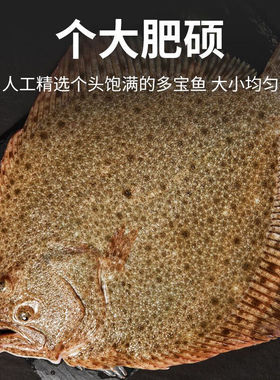 新鲜多宝鱼特大鲜活速冻八宝鱼冷冻大比目鱼偏口鱼碟年货无冰海鲜