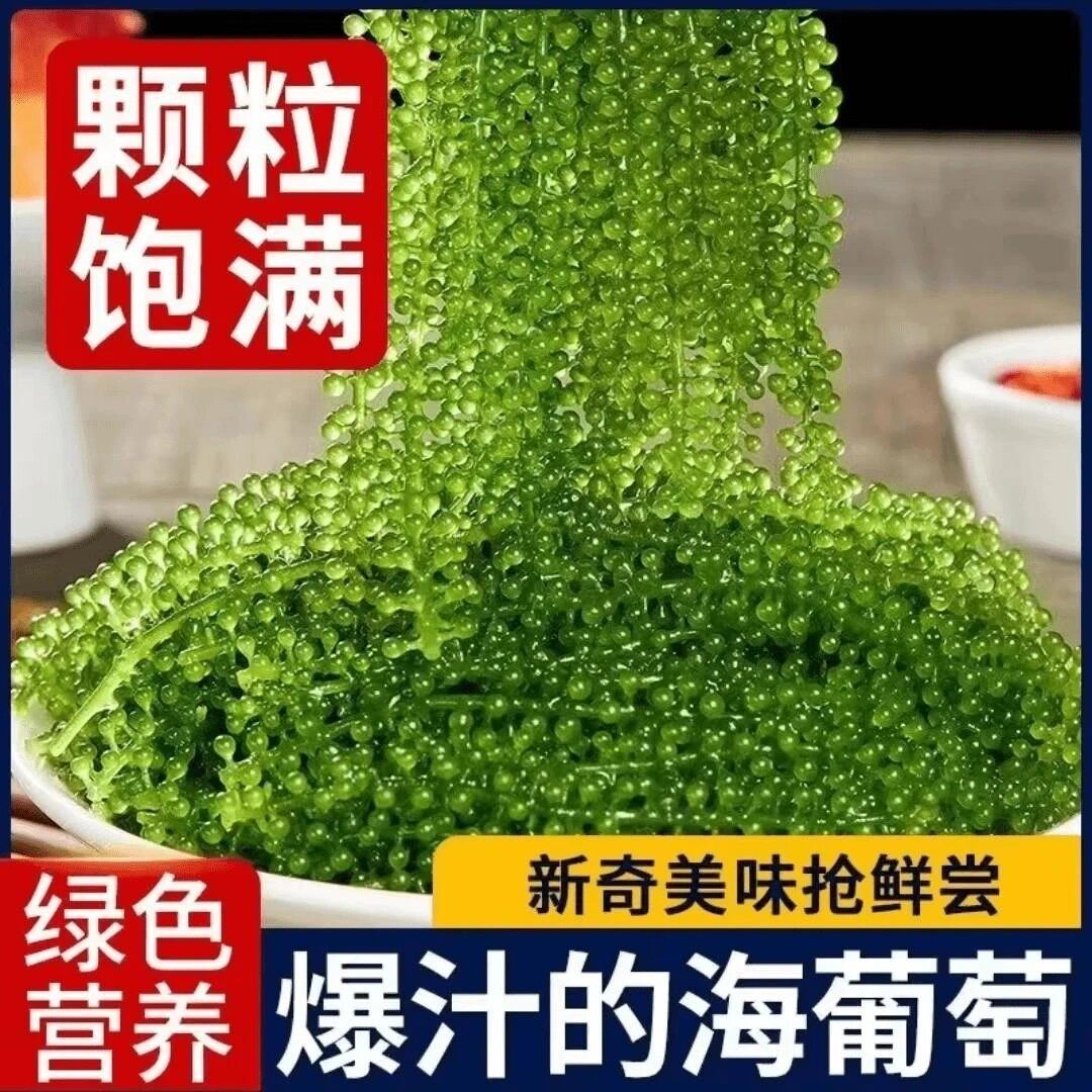 【植物界的鱼子酱】海葡萄盐渍海藻即食开胃下饭菜网红绿色零食-X