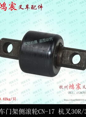 H叉-叉车307C1R330滚轮架门B  滚轮N 侧轴承 组 纵向R30G6 杭5N