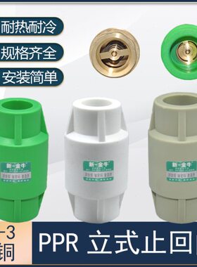 金防倒流配件新熔6分全新热逆止阀单向阀家装料牛PPR一家用4分